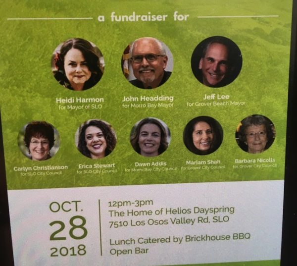 2018 Helios Dayspring fundraiser flier